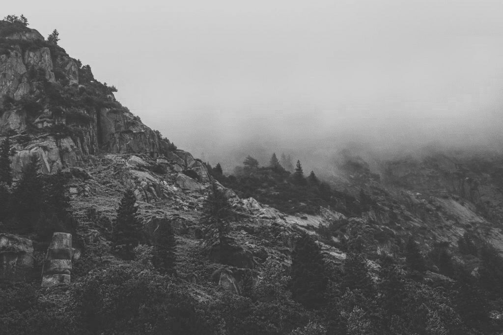 A black and white photo of trees on top of a mountain.